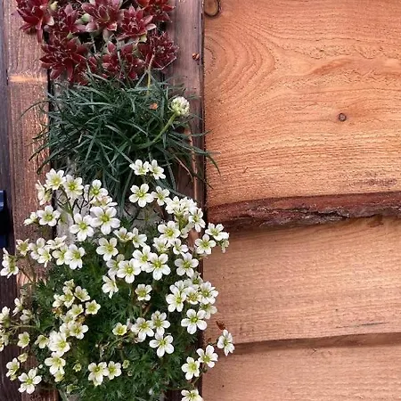 Oku Wooden Pod, Newburgh Priory Estate Chalet York