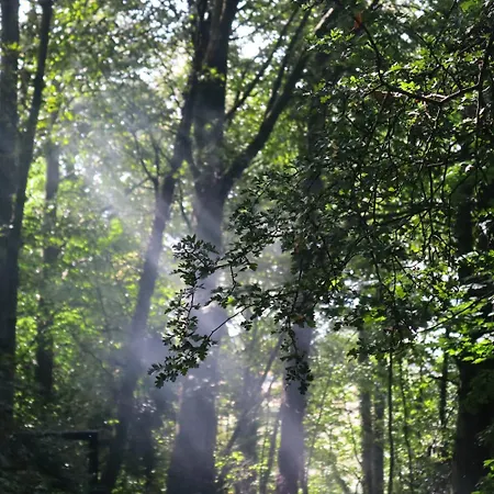 Oku Wooden Pod, Newburgh Priory Estate York