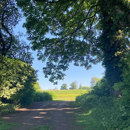 Oku Wooden Pod, Newburgh Priory Estate York