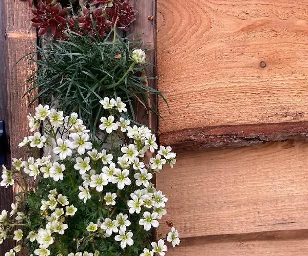 Oku Wooden Pod, Newburgh Priory Estate Chalet York