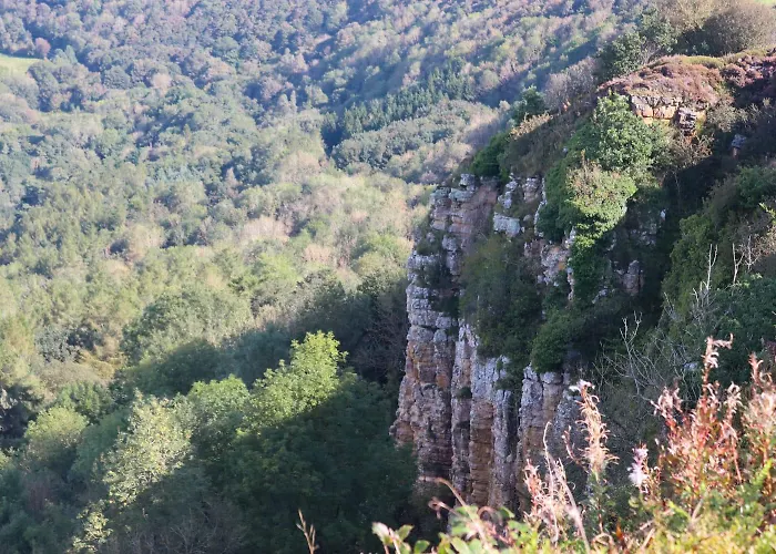 Chalet Oku Wooden Pod, Newburgh Priory Estate