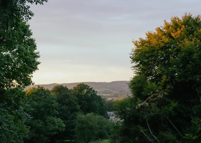 Oku Wooden Pod, Newburgh Priory Estate Chalet York