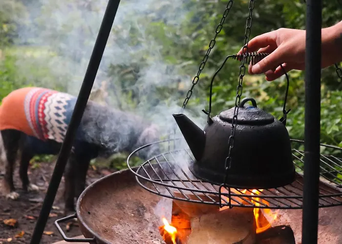 Oku Wooden Pod, Newburgh Priory Estate