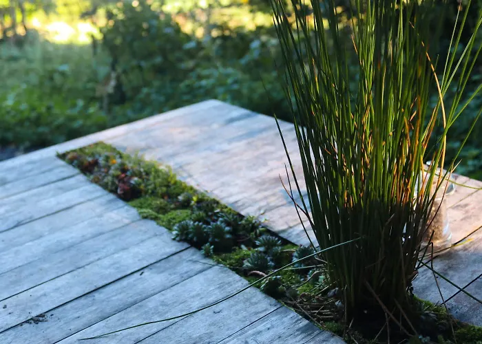 Chalet Oku Wooden Pod, Newburgh Priory Estate