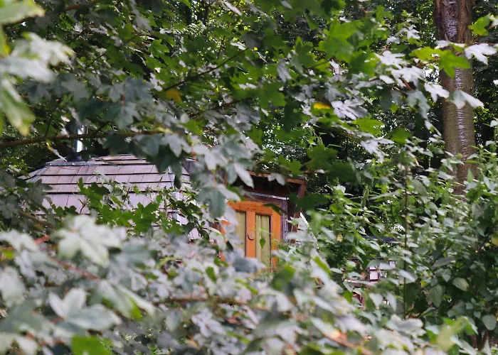 Chalet Oku Wooden Pod, Newburgh Priory Estate *