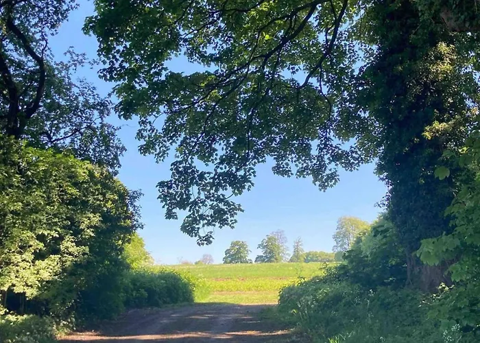 Oku Wooden Pod, Newburgh Priory Estate York