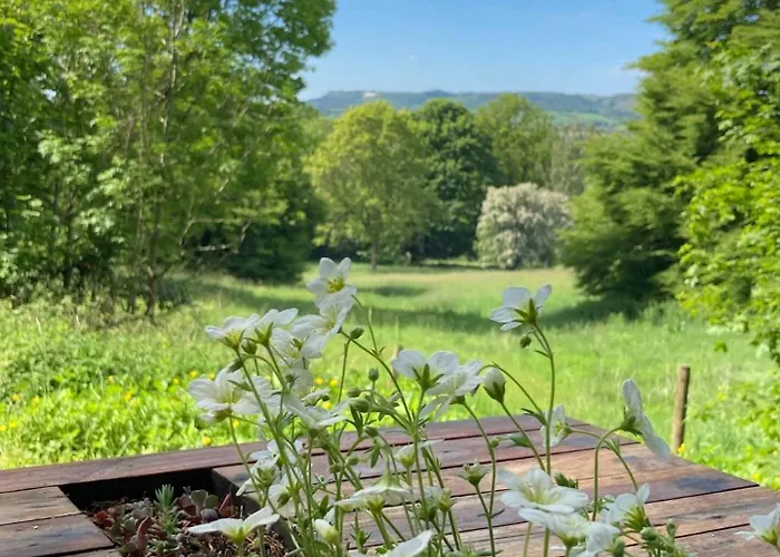 Chalet Oku Wooden Pod, Newburgh Priory Estate