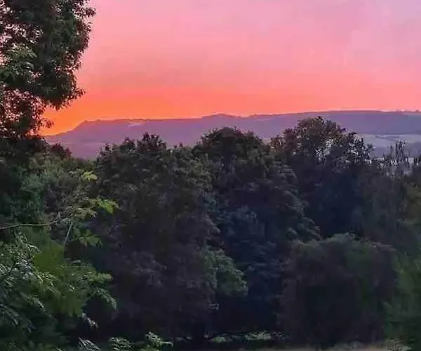 Chalet Oku Wooden Pod, Newburgh Priory Estate York
